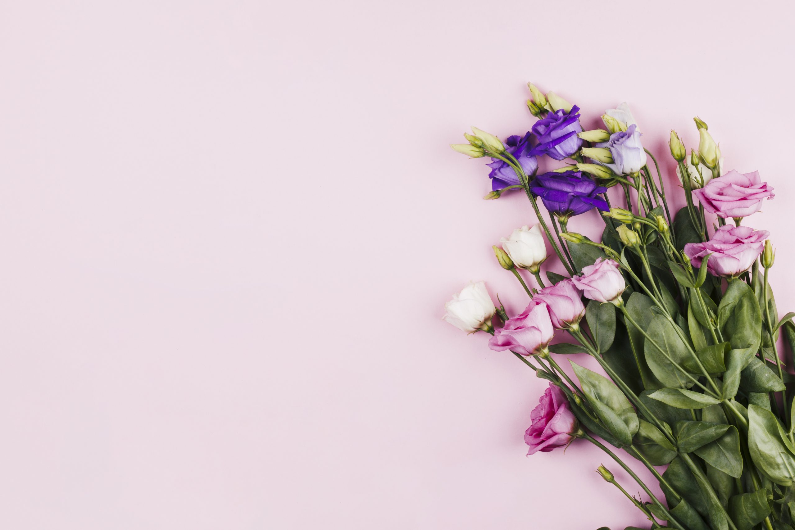 ВІТАЄМО З ПРИСВОЄННЯМ ВЧЕНОГО ЗВАННЯ!